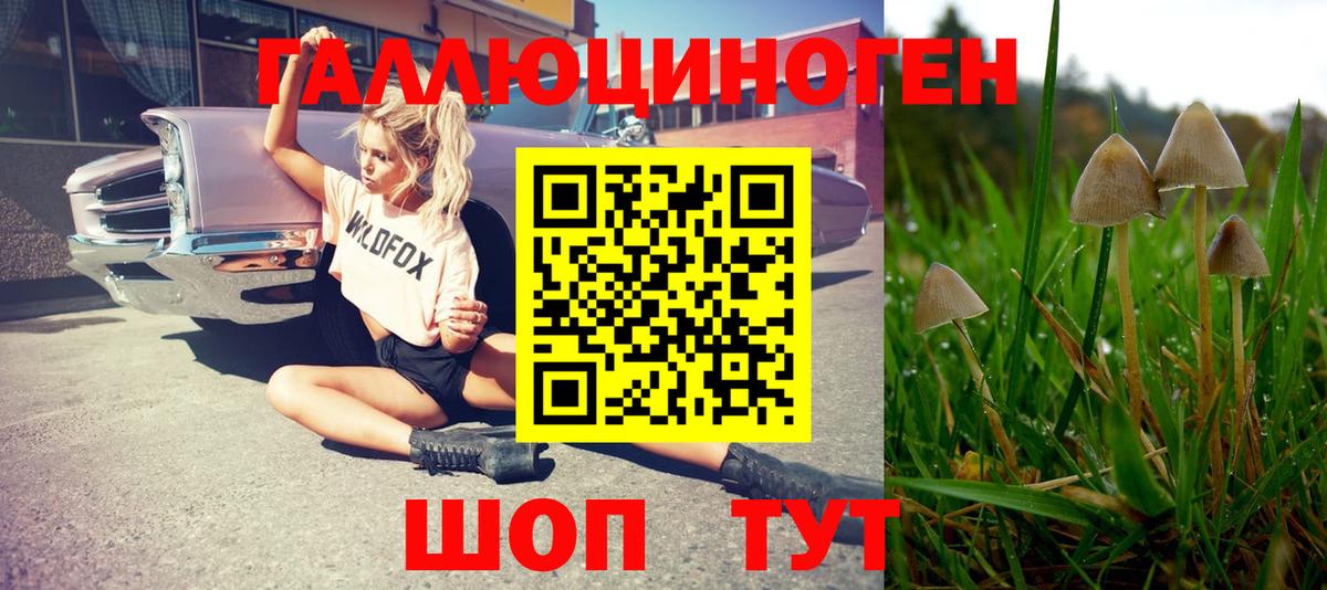 Псилоцибиновые грибы Magic Shrooms Барабинск