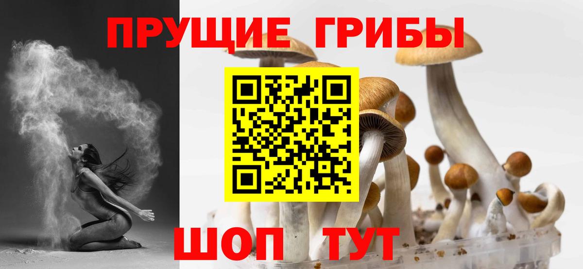 Псилоцибиновые грибы Magic Shrooms  Галлюциногенные грибы GOLDEN TEACHER  Барабинск  Вход с VPN 